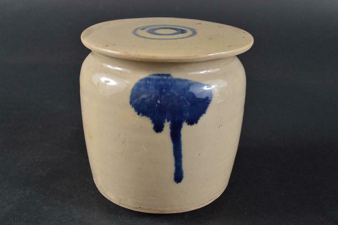 #2290: Japanese Old Seto-ware Blue&white Tea Caddy Chaire Container